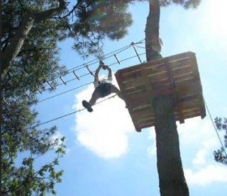  emoções exclusivas para o topo das árvores 